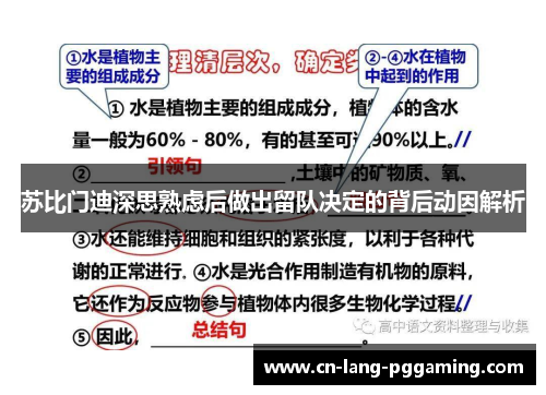 苏比门迪深思熟虑后做出留队决定的背后动因解析