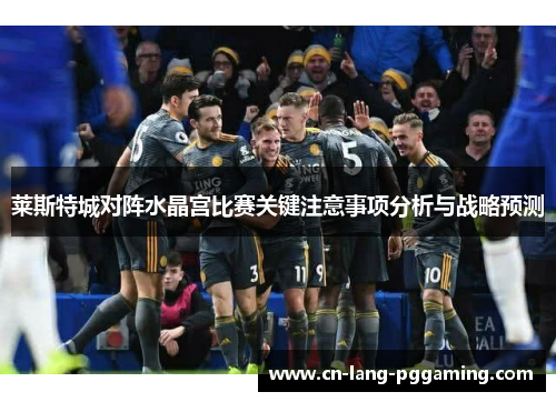 莱斯特城对阵水晶宫比赛关键注意事项分析与战略预测