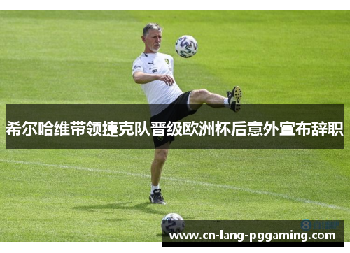 希尔哈维带领捷克队晋级欧洲杯后意外宣布辞职 希尔哈维带领捷克队晋级欧洲杯后意外宣布辞职