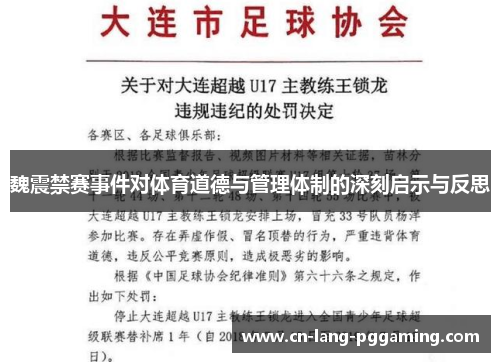 魏震禁赛事件对体育道德与管理体制的深刻启示与反思